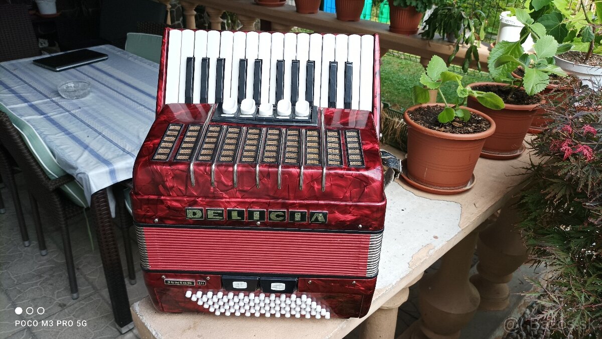 Harmonika -Akordeon.Delícia Junior 72basová.
