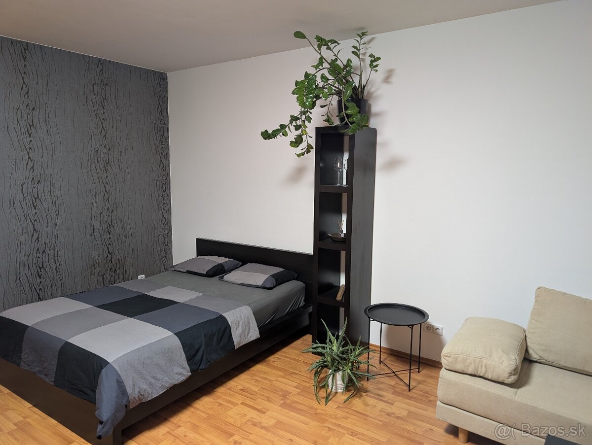 Prenájom bytu s loggiou pri jazere v časti Nové Mesto