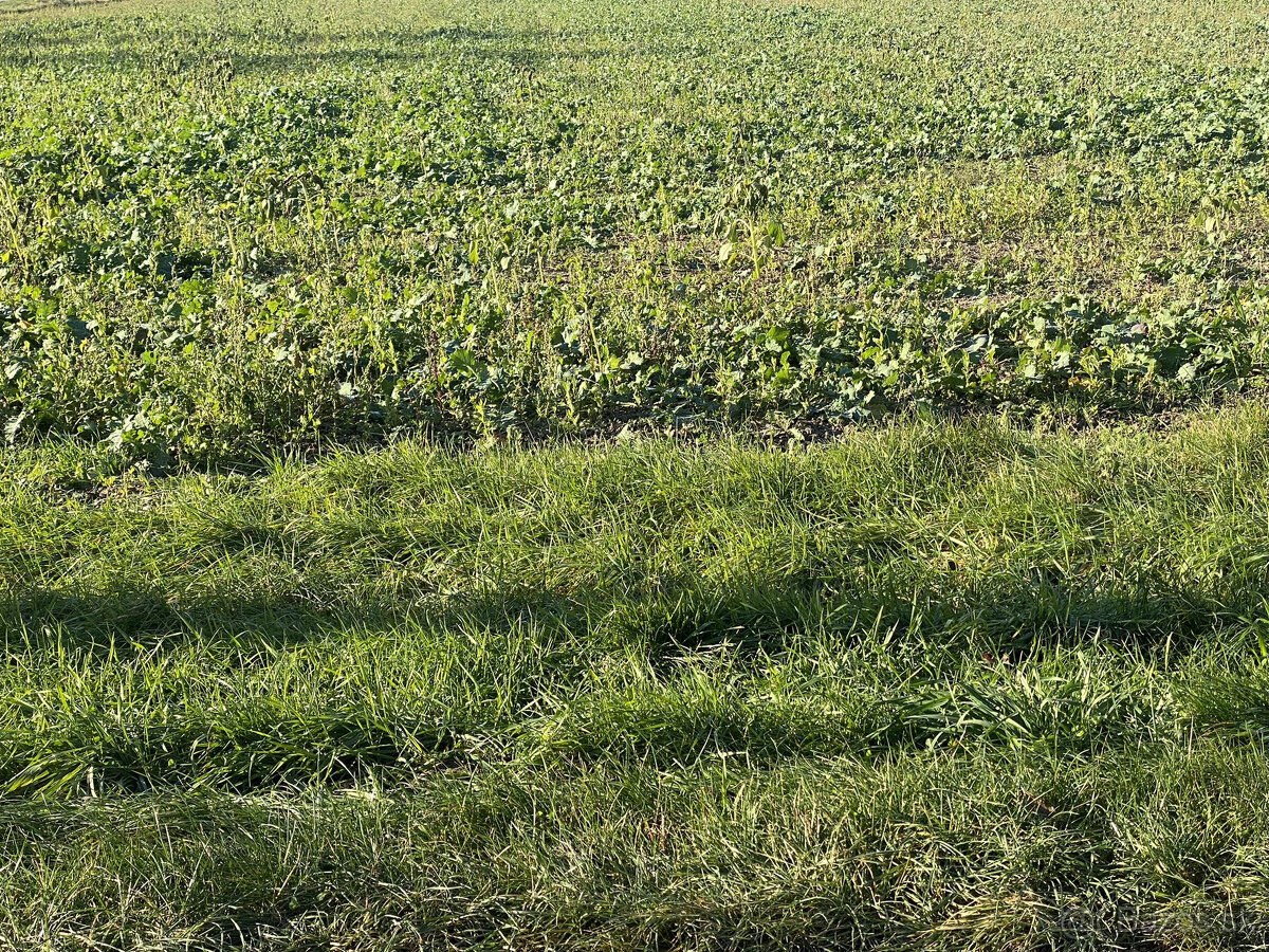 IIBA U NÁS Na predaj investičný pozemok na výstavbu 1 ro