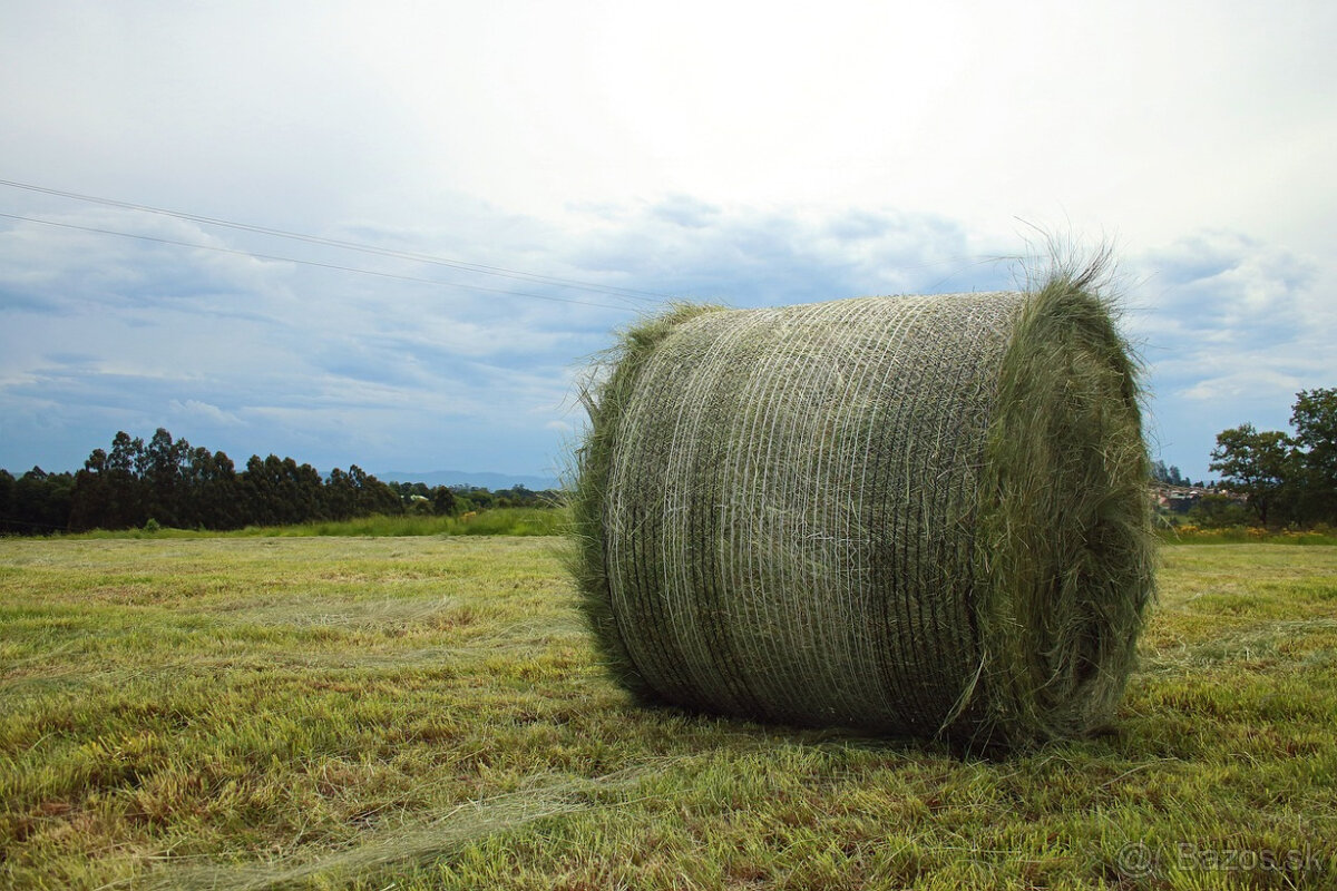 Balíky sena, seno
