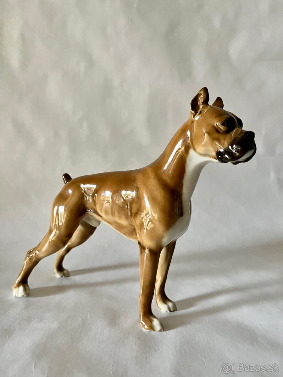 Porcelanove psy Hutschenreuther boxer