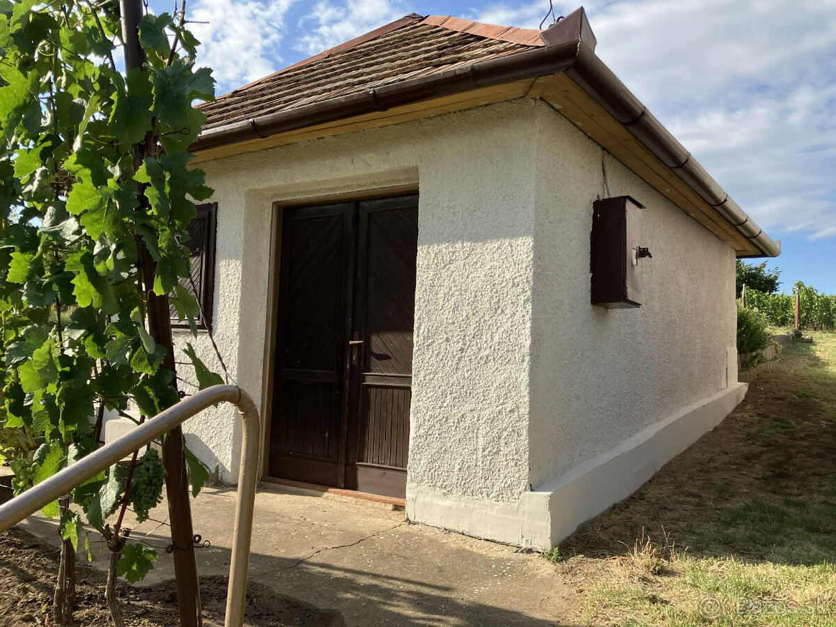 Predám vinicu v osobnom vlastníctve