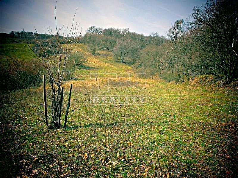Súbor rekreačných pozemkov 1 ha v krásnej prírode , obec...