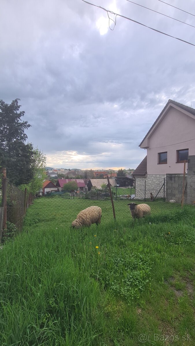Stavebný Pozemok Neďaleko Zvolena | Lieskovec