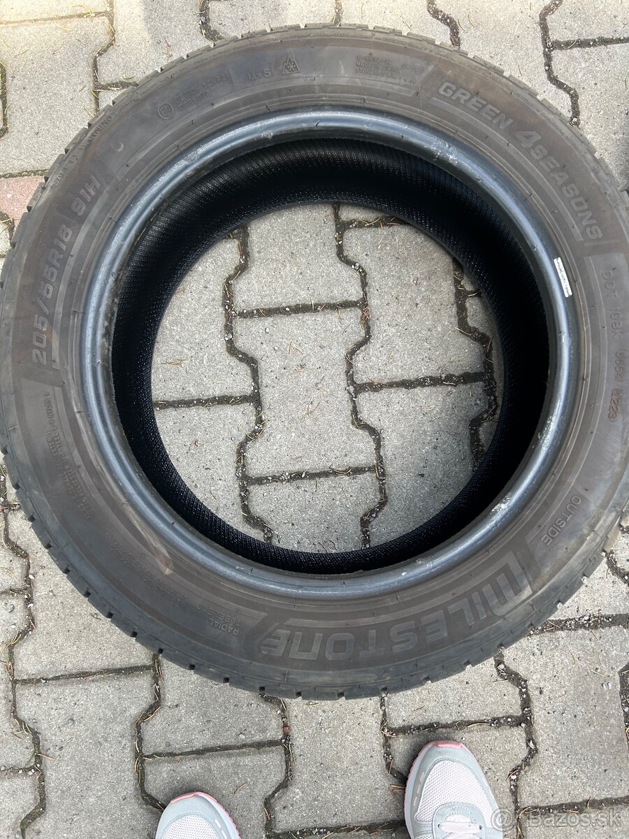 Milestone celoročne 205/55R16