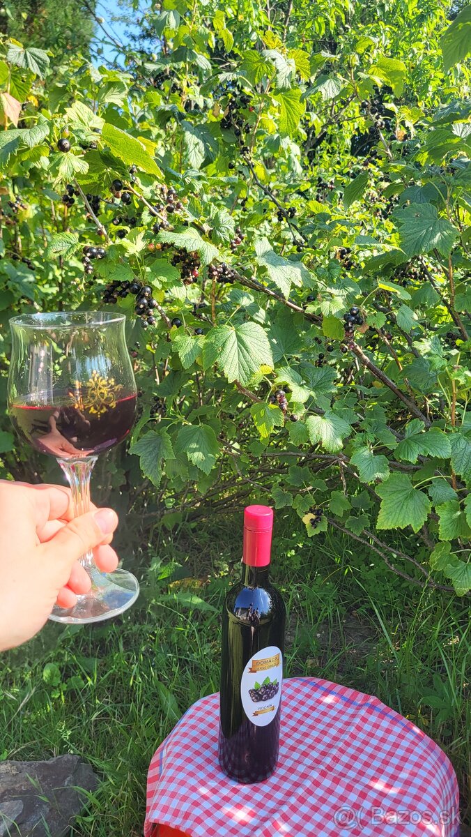 Domace vino z ciernych ribezli