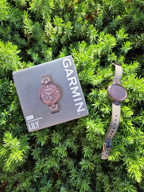 Garmin Lily Classic