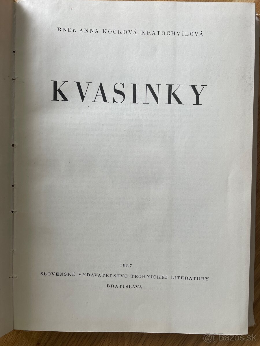Kvasinky