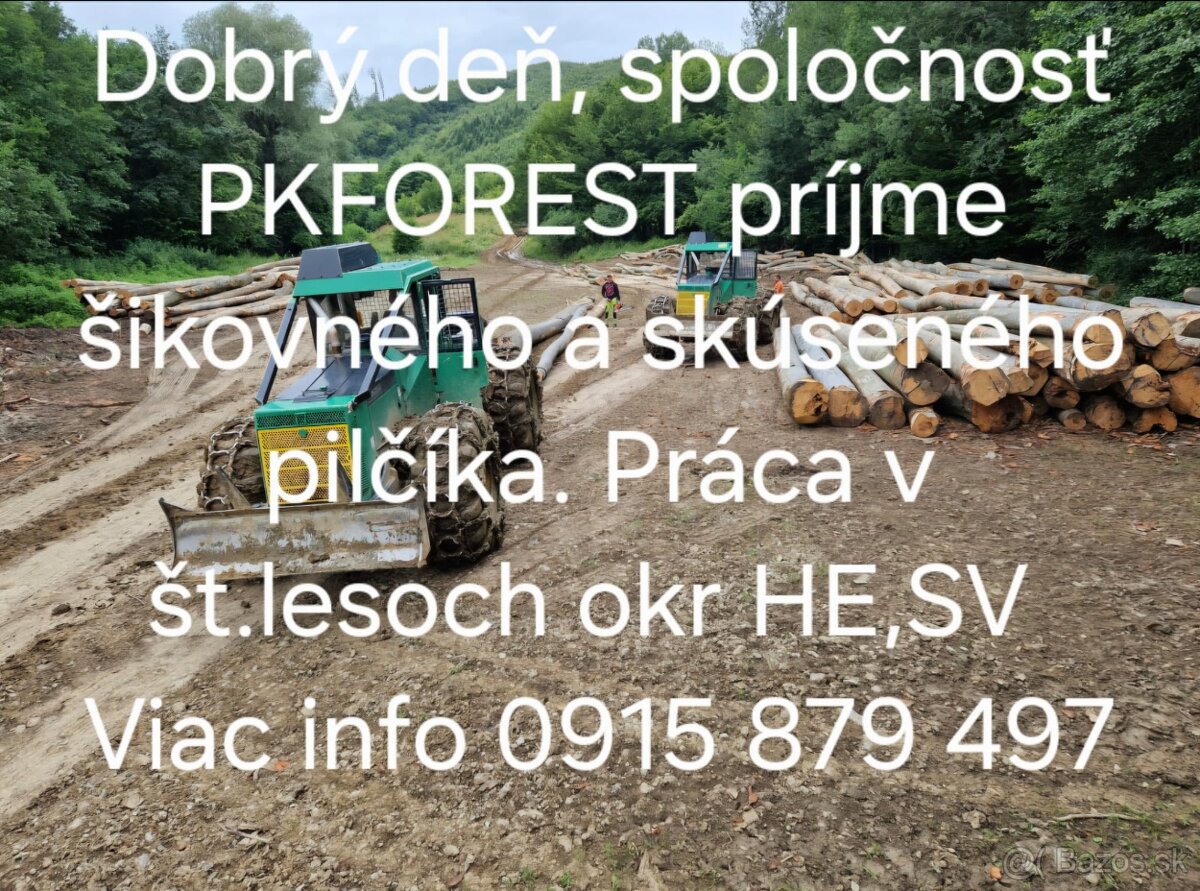 Pilčik