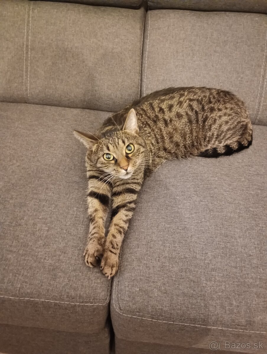 Diego