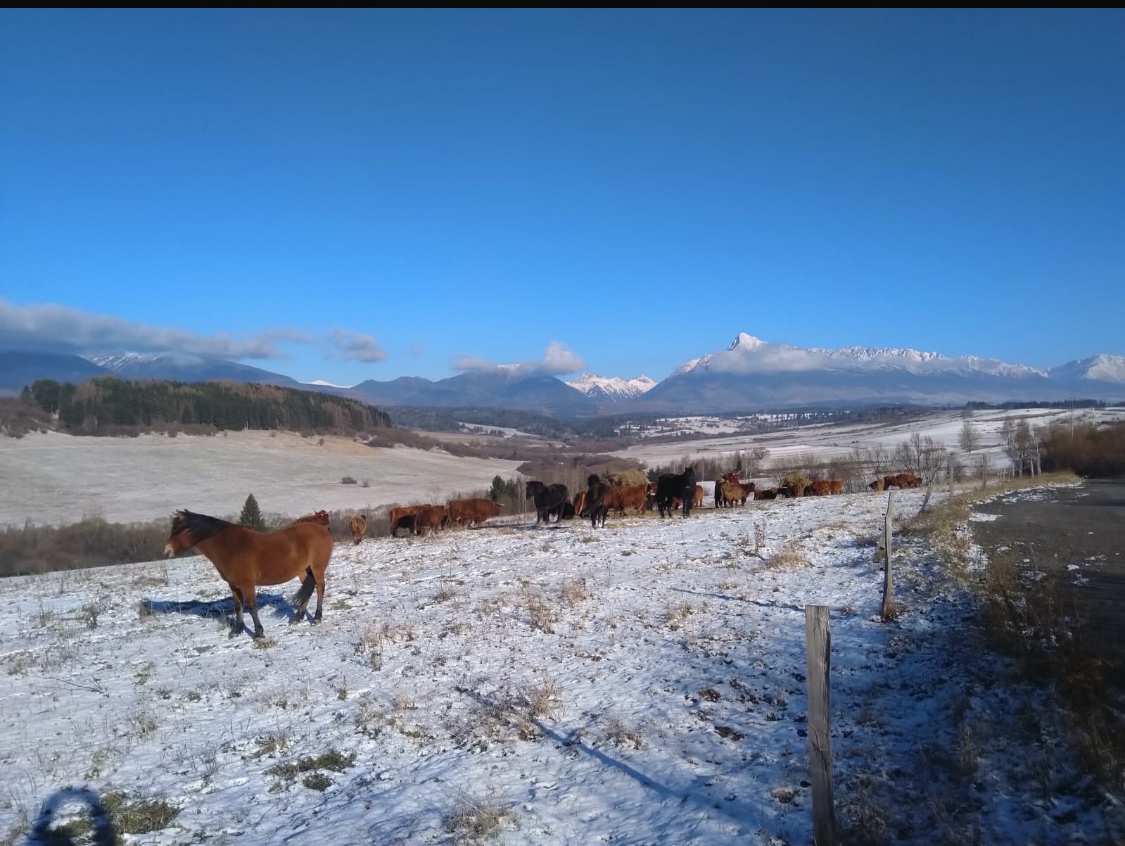 Orná pôda Východná výhľad na TATRY