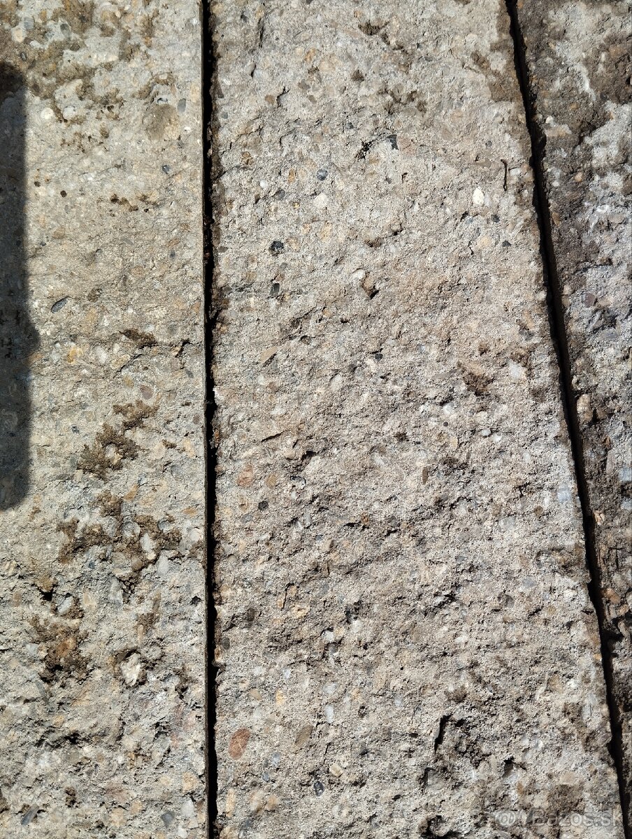 Stiepane palisády
