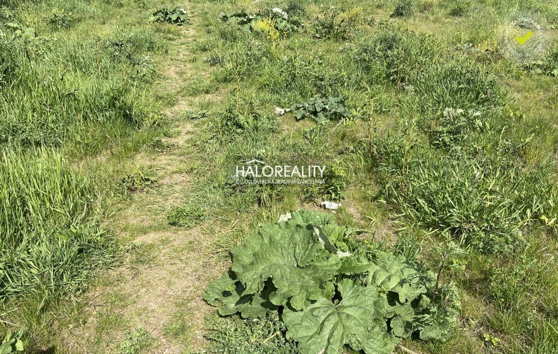 HALO reality - Predaj, pozemok pre rodinný dom   704 m2 Preš