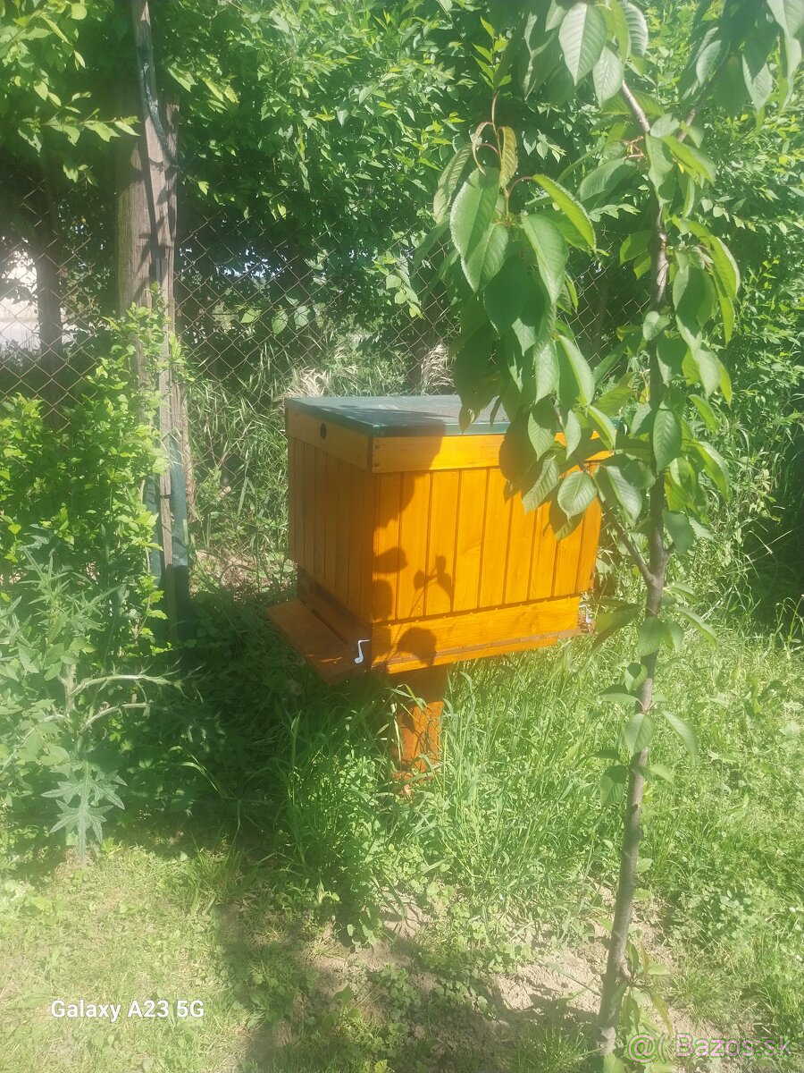 Predam včely aj s uľom