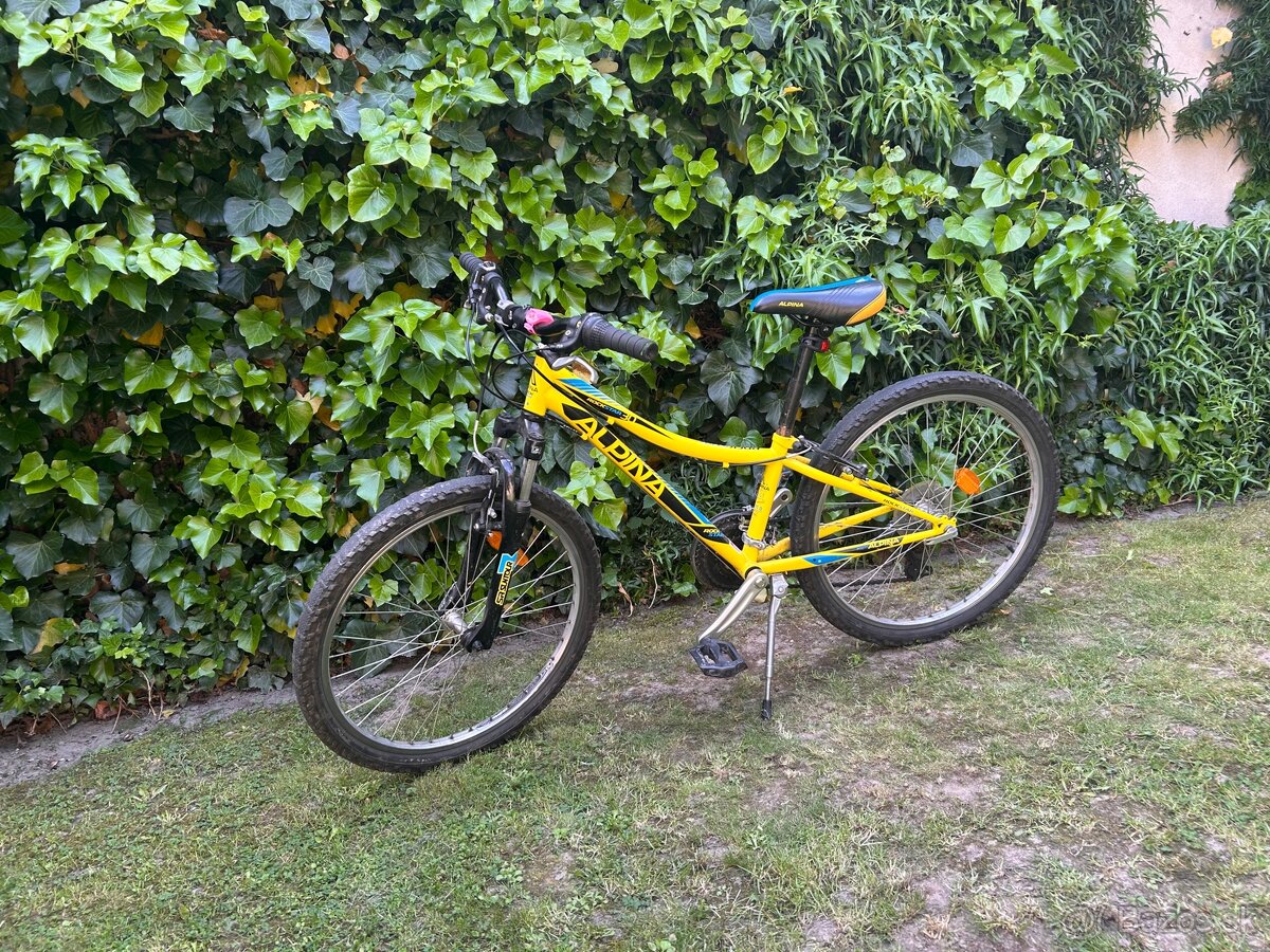 Bicykel Alpina