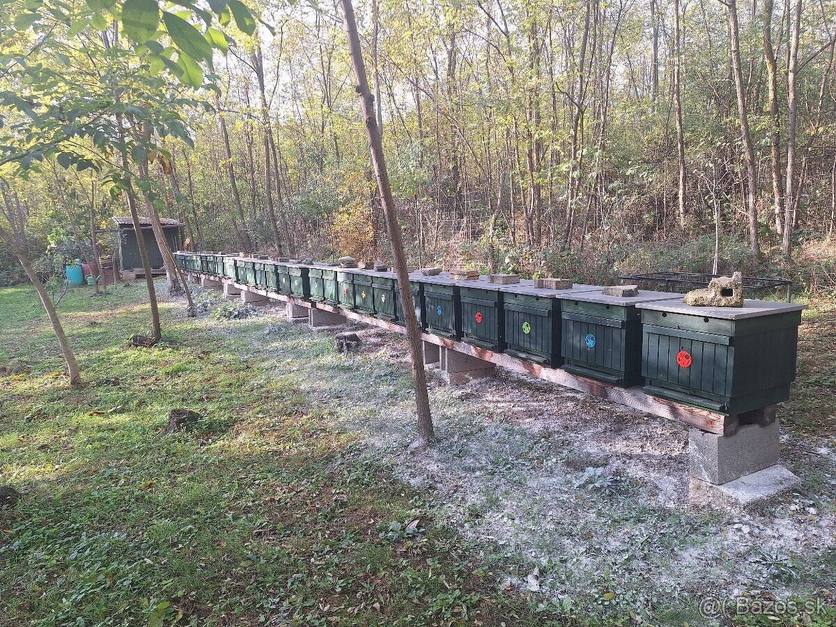 Predám krásnu včelnicu