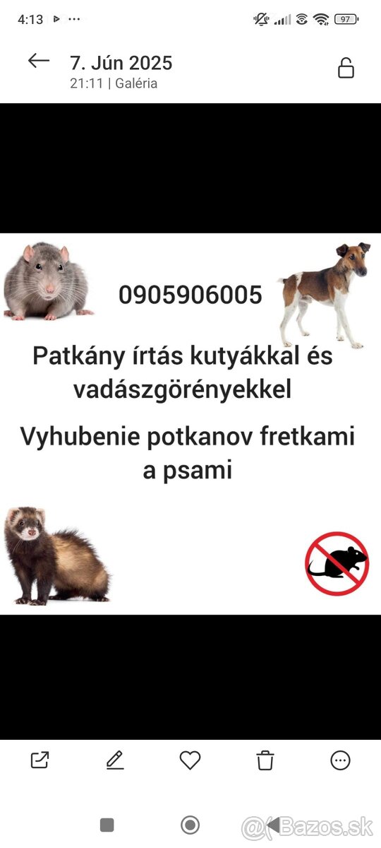Deratizácia