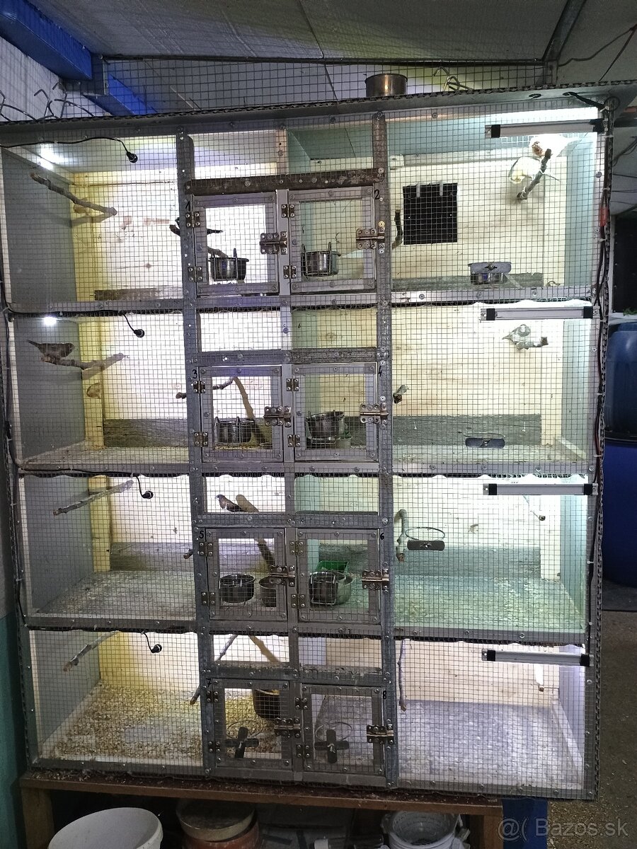 Osembox pre drobotinu