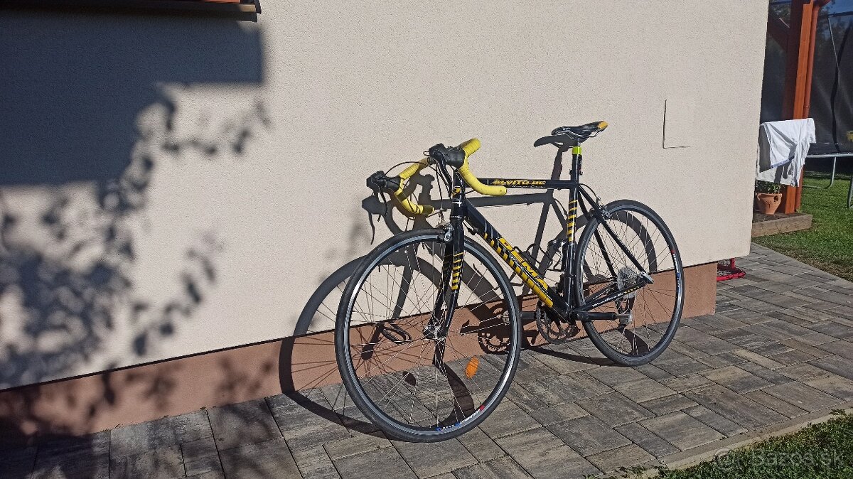 Cestný bicykel Dema alvito