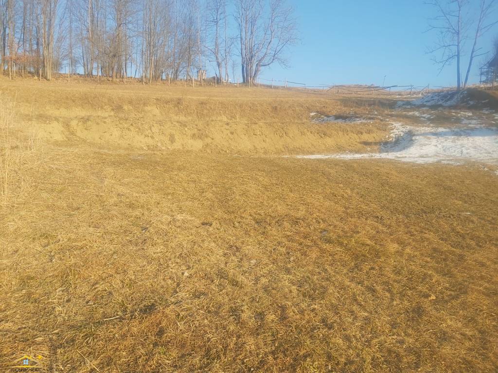 Predaj: Slnečný pozemok v obci Staškov(280-P)