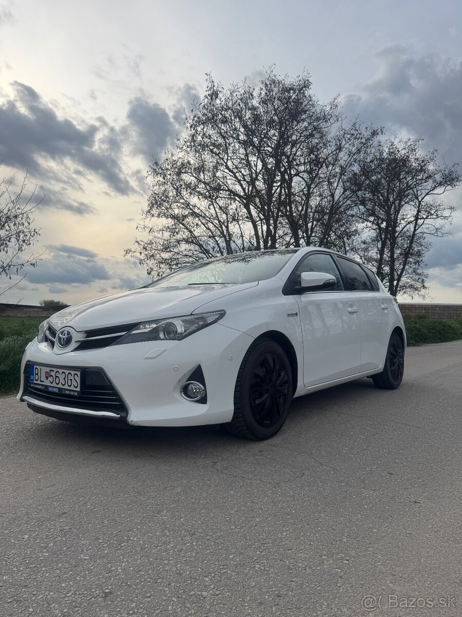 Auris hybrid