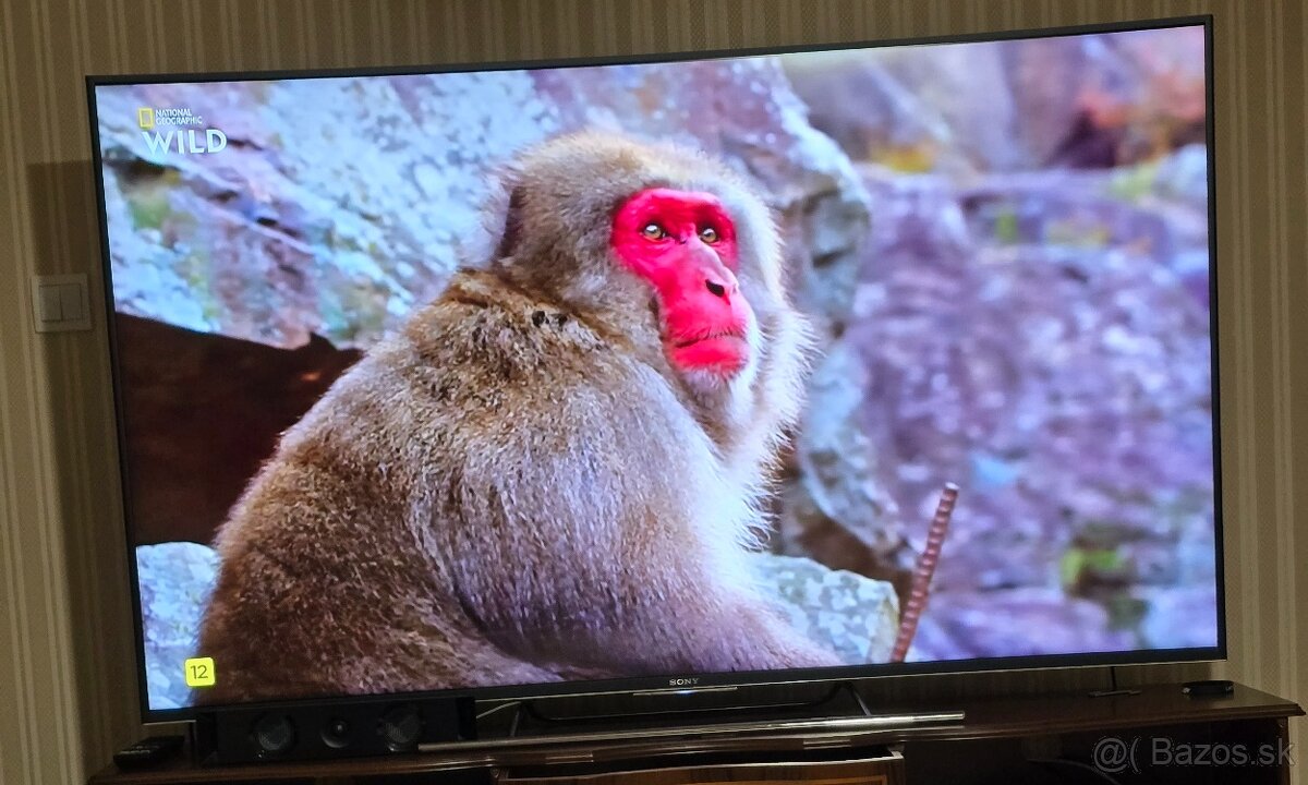 Predam TV SONY BRAVIA 4K, 65" obrazovka