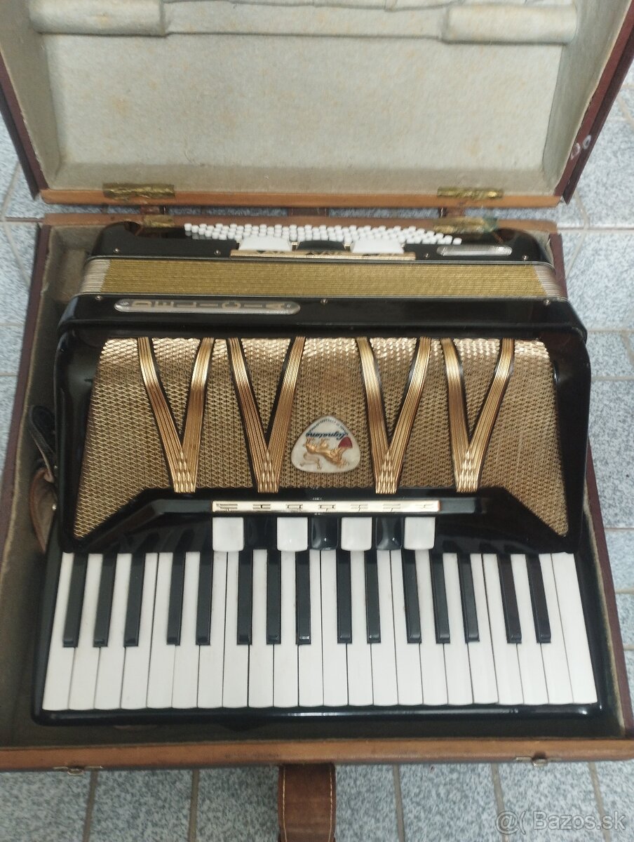 Harmonika weltmeister akordeón,delicia ,melodia