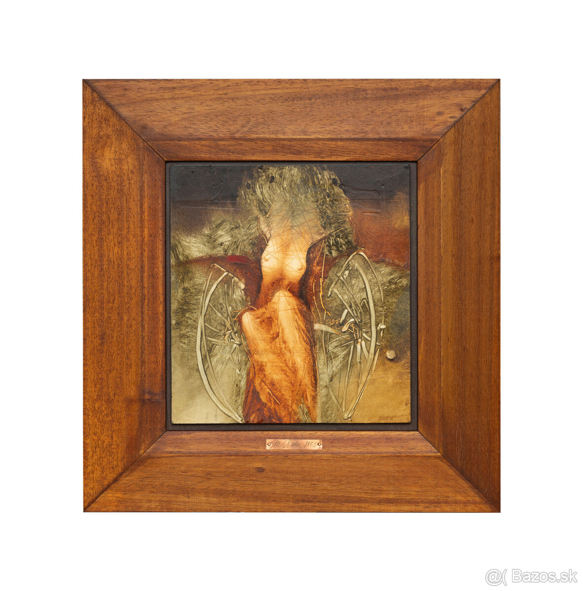 Marian Vida - Štiavnicke transcendento