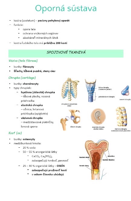 Podklady na prijímačky - LF UPJŠ v Košiciach