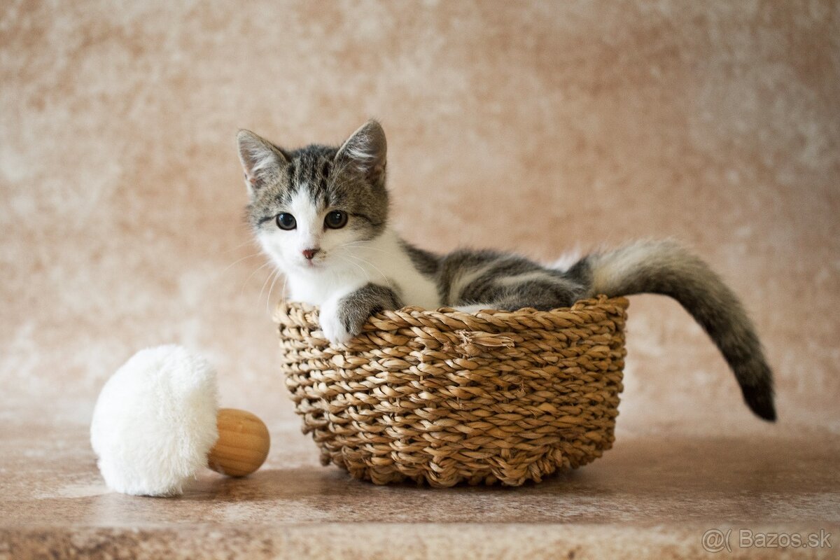 ❤ Lesana - nebojácna a vždy veselá slečna