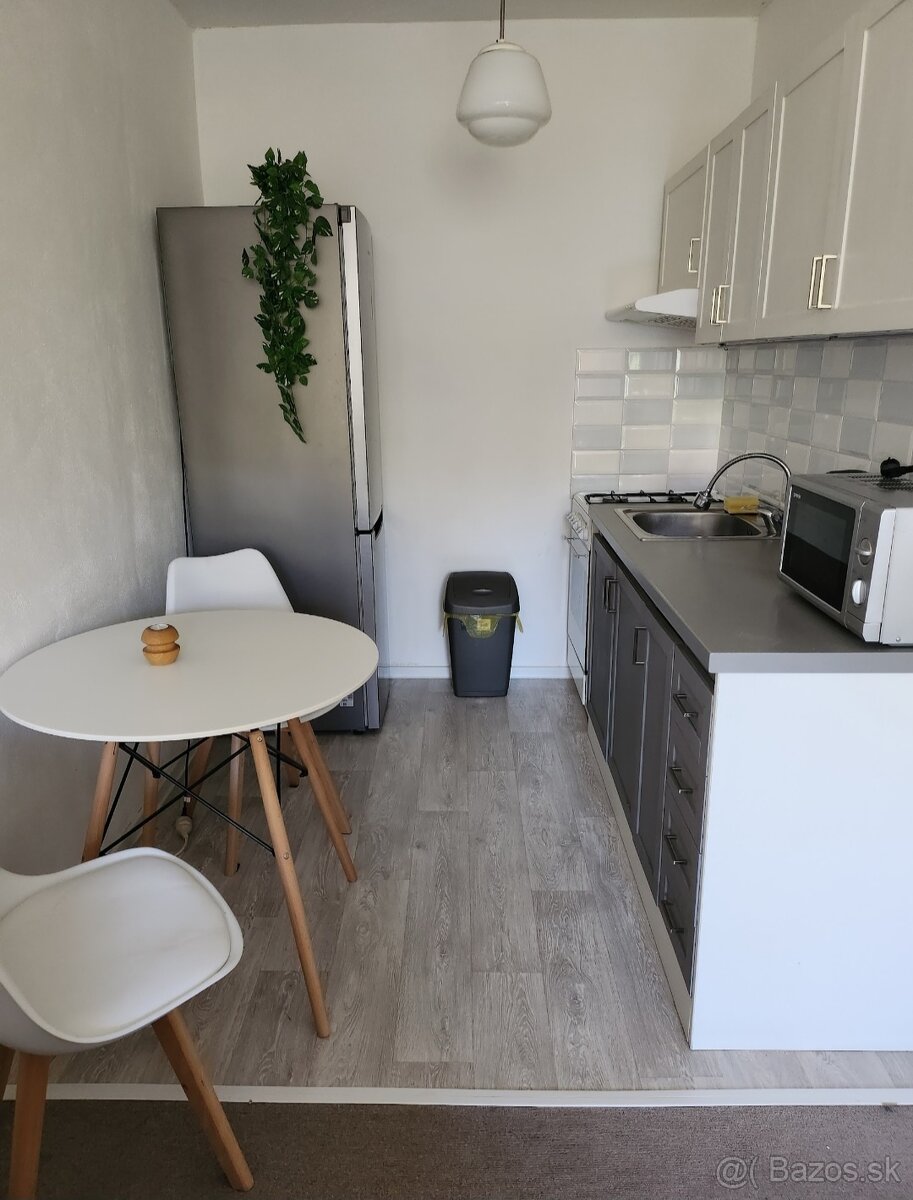 Prenájom 1,5 izbový byt