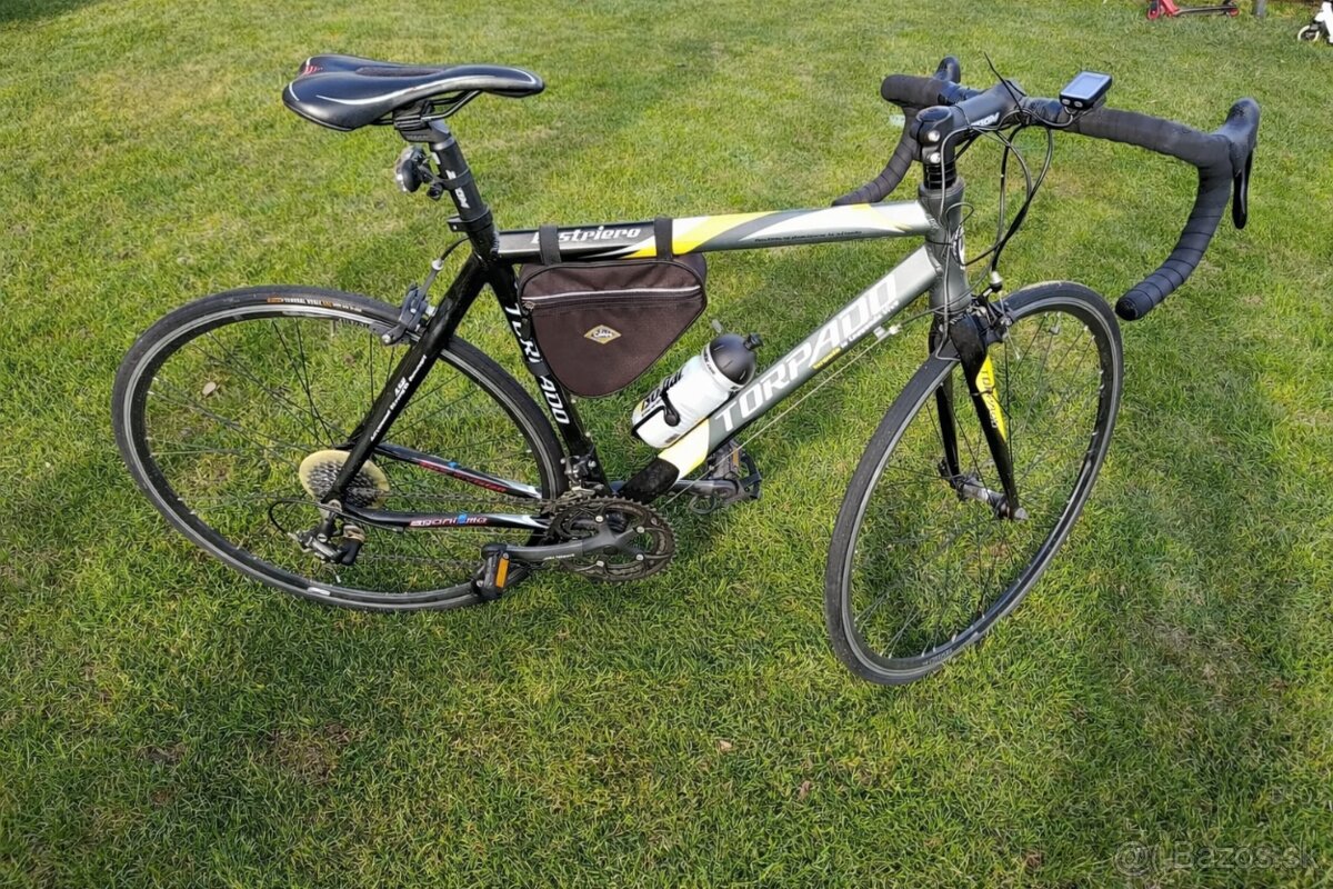 Torpado Destiero 19"