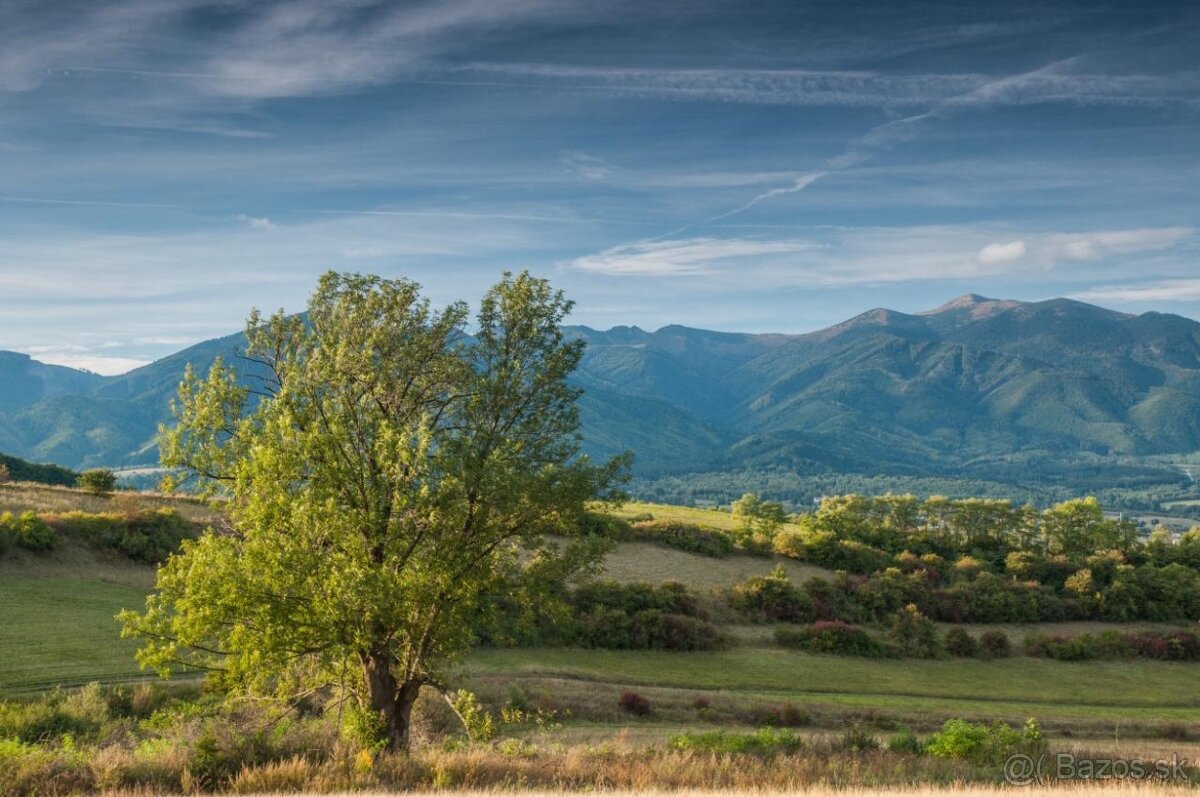 Sučany – 5.375 m2 ORNÁ PÔDA - PREDAJ