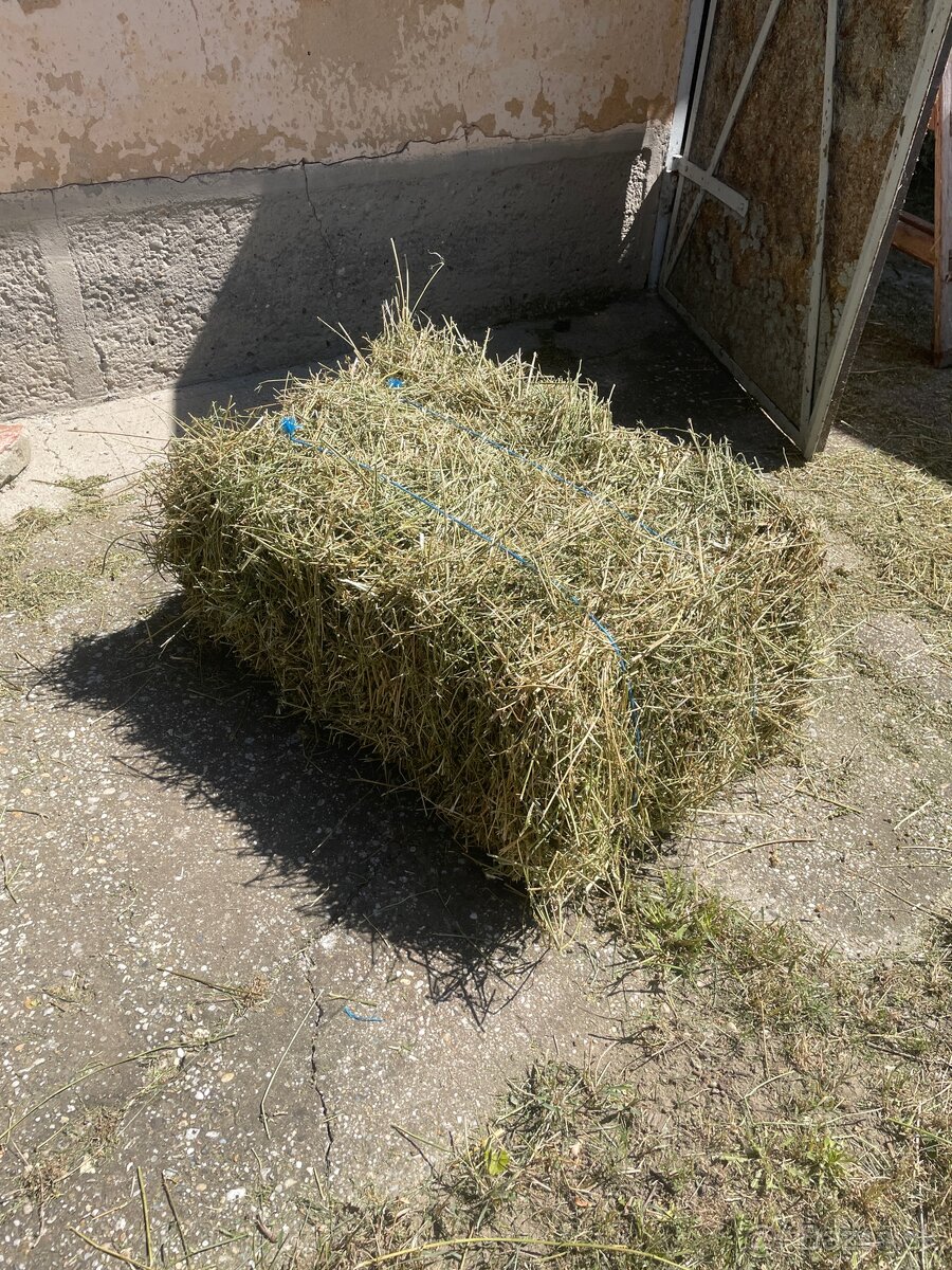 Predám balíky lucerny