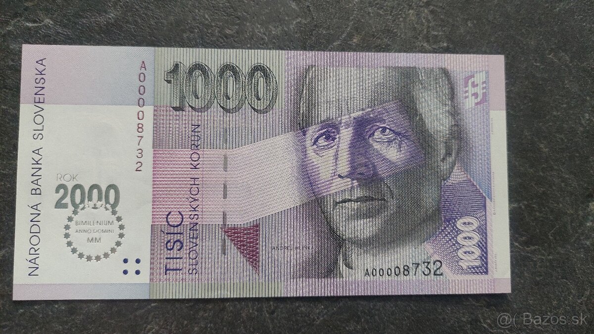 1000 Sk 1993 A - Bimilénium