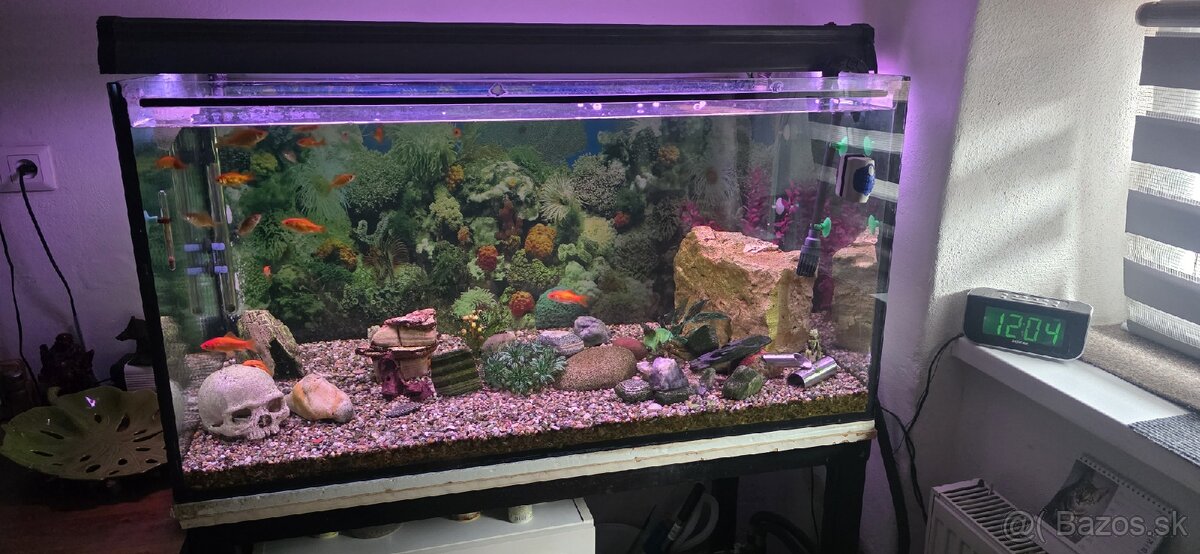 Predam akvarium