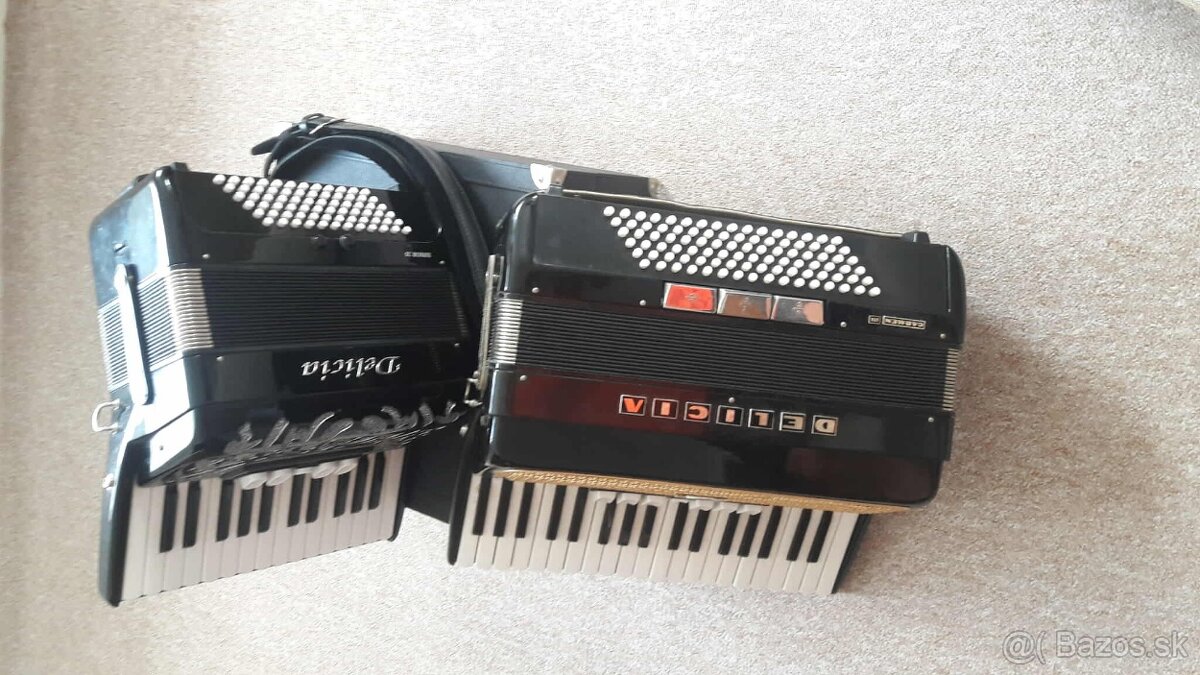 akordeón Delicia Junior 23 + Delicia Carmen