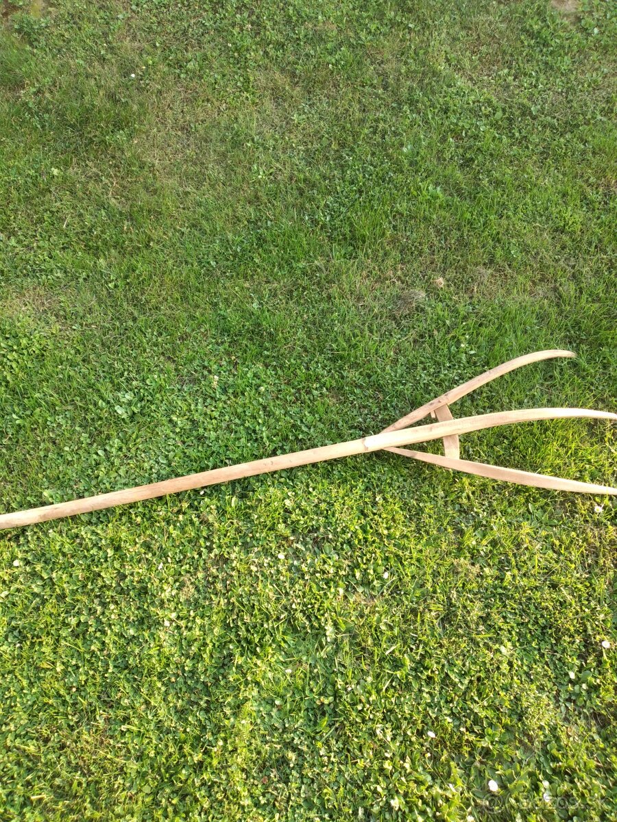 Predam stare drevene vidli