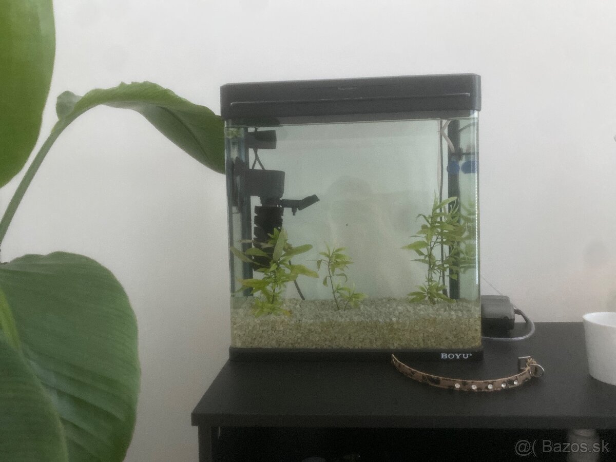 Terárium 45l