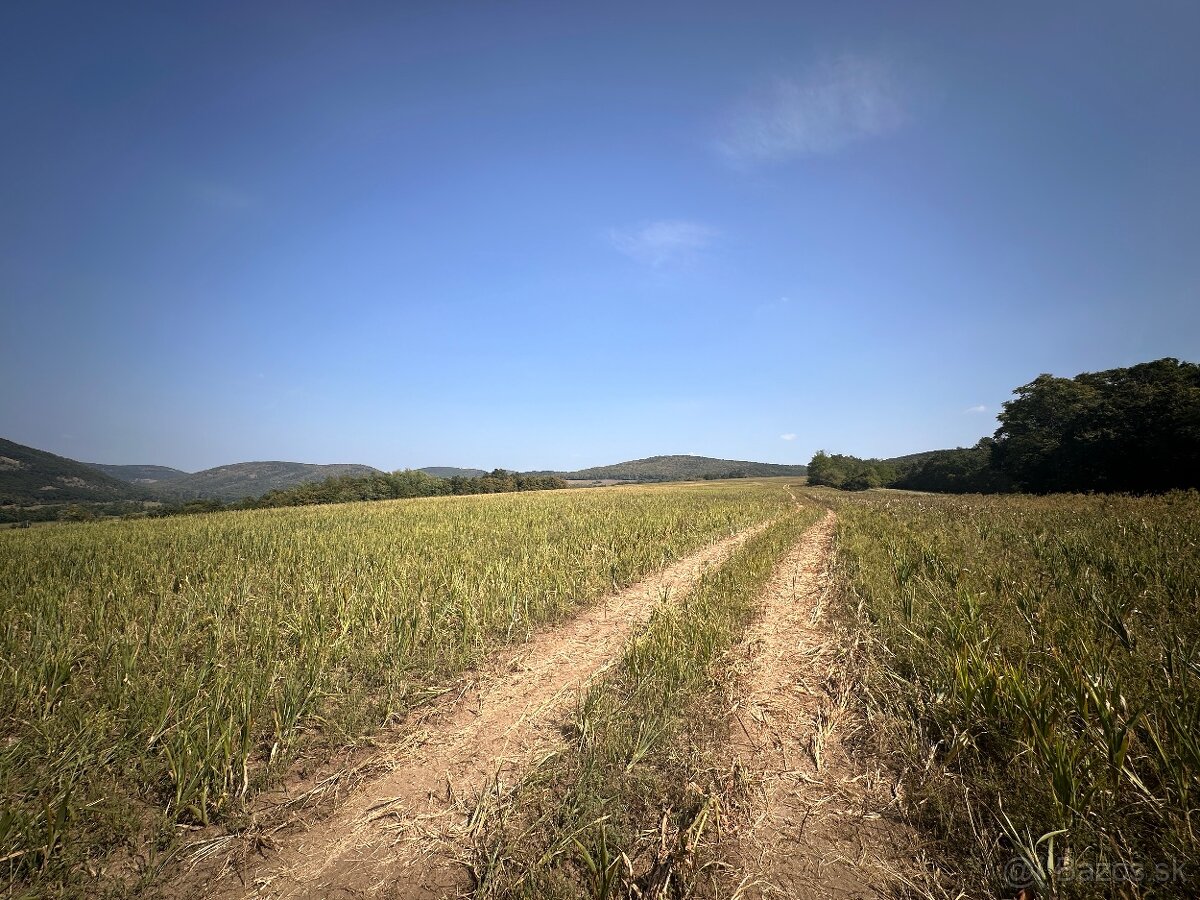 Stráňany – 5.315 m2 ORNÁ PÔDA a LES