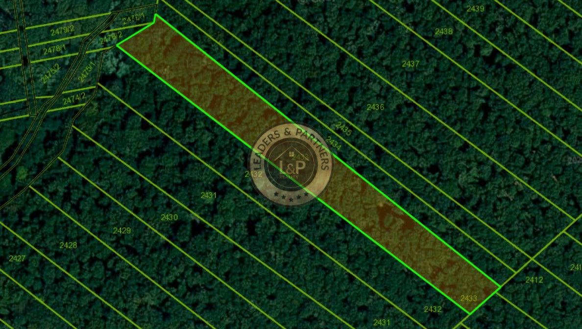 Lesný pozemok k.ú Častkov okr. Senica - zľava do konca roka