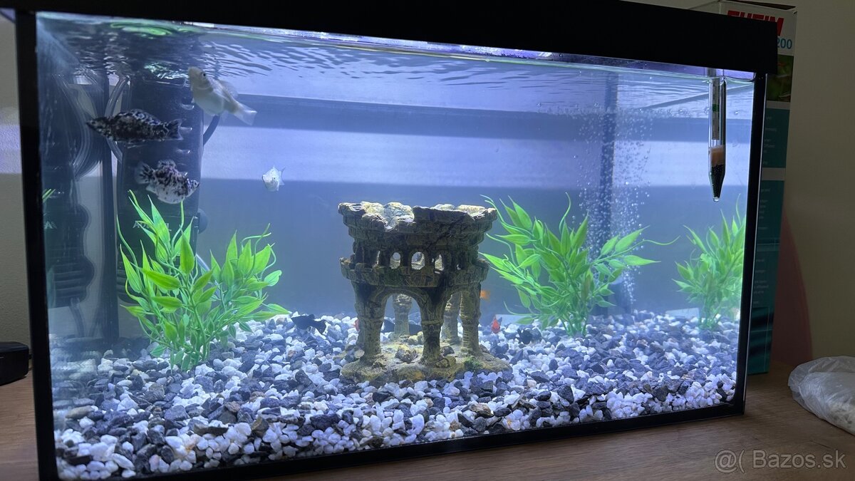 Akvarium+príslušenstvo