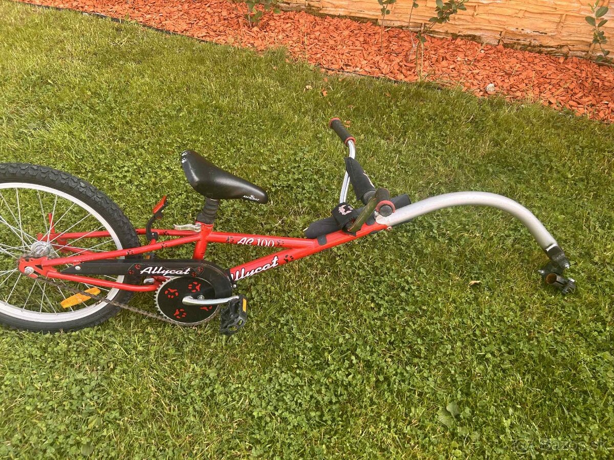 Bicykel detský