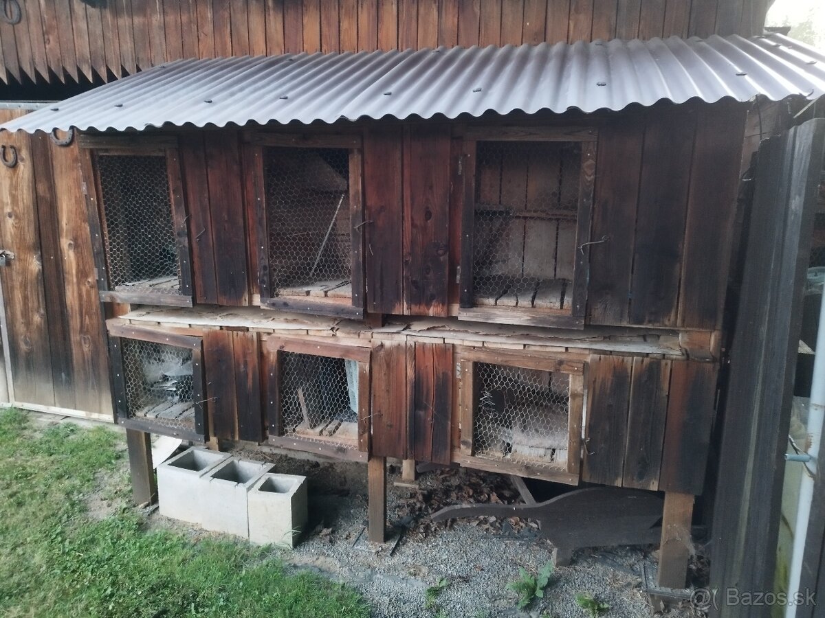 Zajčník