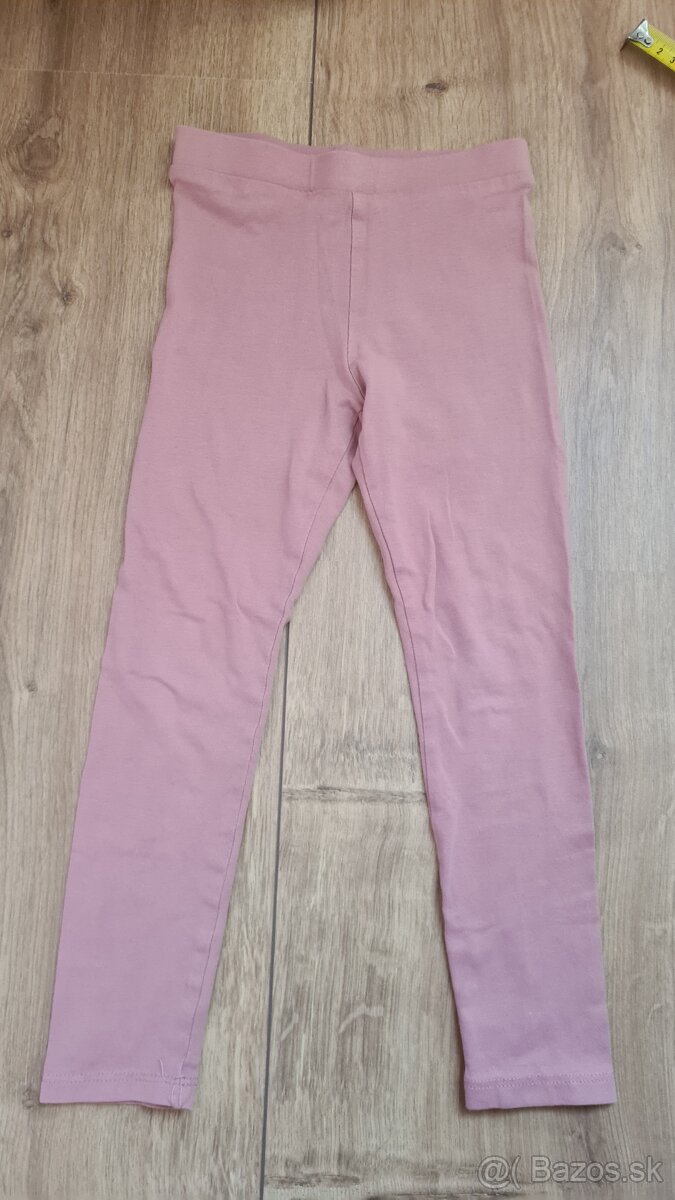 Leginy letne 104