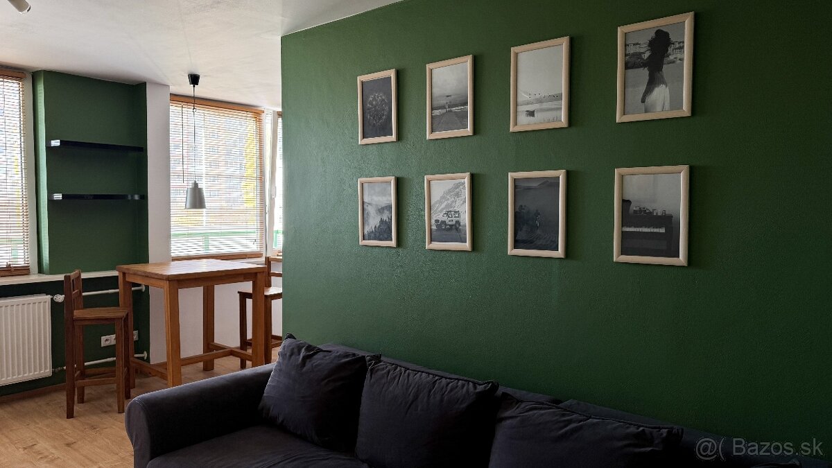 1-izb. byt ul. Fibichova, centrum, v blízkosti Auparku