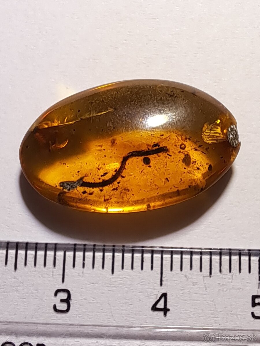 Jantár s mnohonôžkou