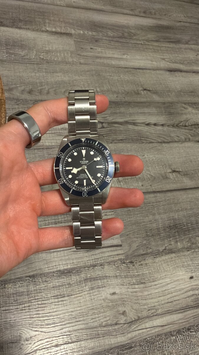 Tudor Black Bay