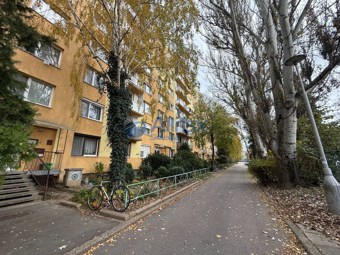 Priestranný 2-izbový byt po kompletnej rekonštrukcii vo vyhľ