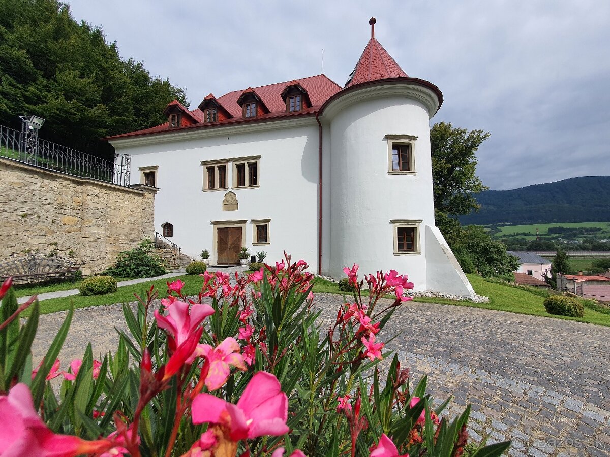Prenájom historického kaštieľa Burg – ideálne miesto pre vaš